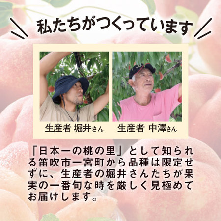 ≪超早割★３２４円引！お中元ギフト≫桃職人が作った朝採り桃　３ＫＧ　７月中旬ー７月下旬お届け