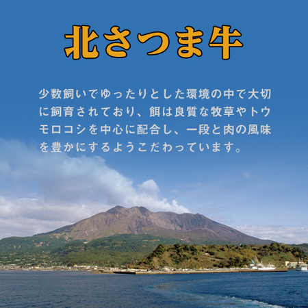 ≪早割★７５６円引き！お中元ギフト≫北さつま牛鉄板焼（肩ロース）５００ｇ