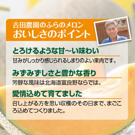 ≪早割★５４０円引！お中元ギフト≫富良野　吉田農園のふらのメロン　２玉　７月上旬ー８月上旬お届け