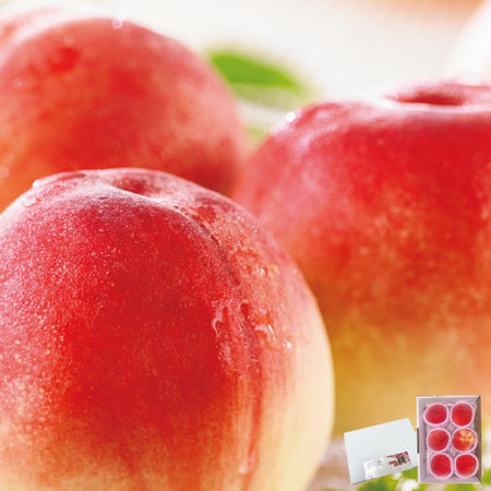 ≪早割★５４０円引！お中元ギフト≫福島県産のおいしい桃　１．３ＫＧ　７月下旬―８月上旬お届け