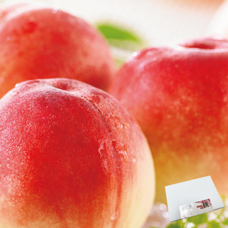 ≪お中元ギフト≫福島県産のおいしい桃　２ＫＧ　７月下旬―８月上旬お届け