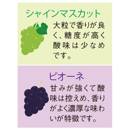 ぶどう職人のシャインマスカット＆ピオーネ