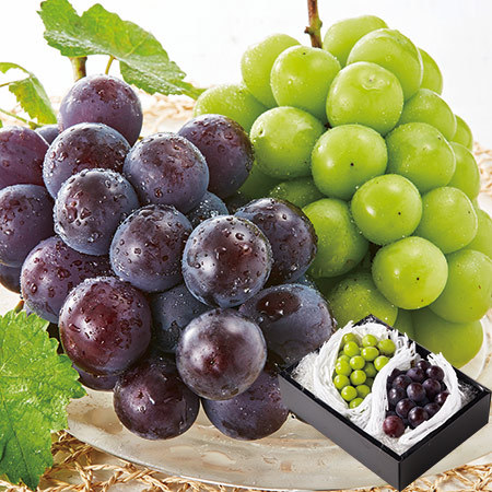 ぶどう職人のシャインマスカット＆ピオーネ