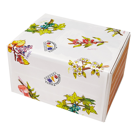 ≪お中元ギフト≫フルーツソムリエが選んだ果物詰合せ（Ａセット）７月下旬より順次