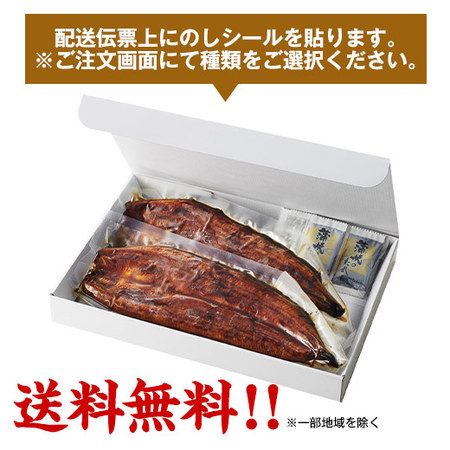 メガ！超特大！鹿児島県産うなぎ蒲焼き２尾