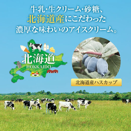 ≪早割★２１６円引き！お中元ギフト≫乳蔵　北海道アイスクリーム１０個