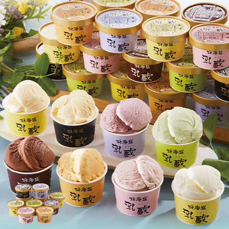 ≪早割★２１６円引き！お中元ギフト≫乳蔵　北海道アイスクリーム１０個
