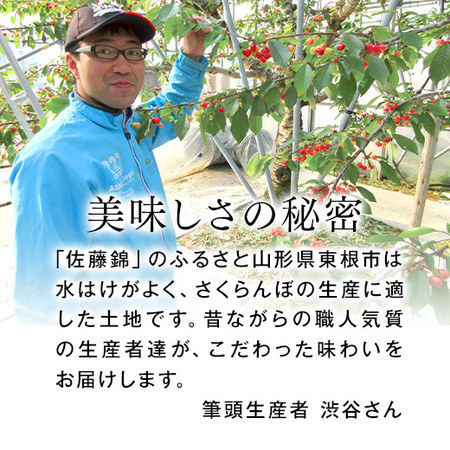 ≪早割★４００円お得！お中元ギフト≫さくらんぼ職人の佐藤錦（秀品）１ｋｇ　６月中旬より順次