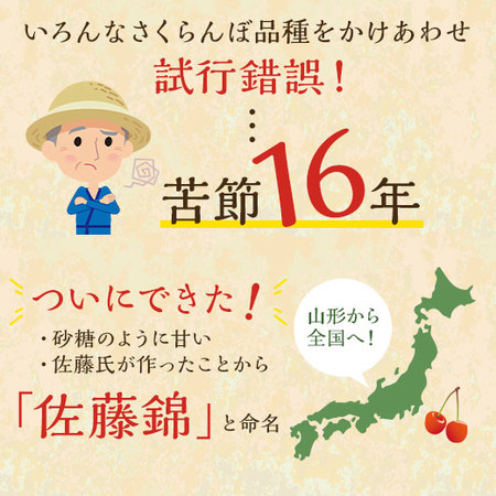 ≪早割★４００円お得！お中元ギフト≫さくらんぼ職人の佐藤錦（秀品）１ｋｇ　６月中旬より順次