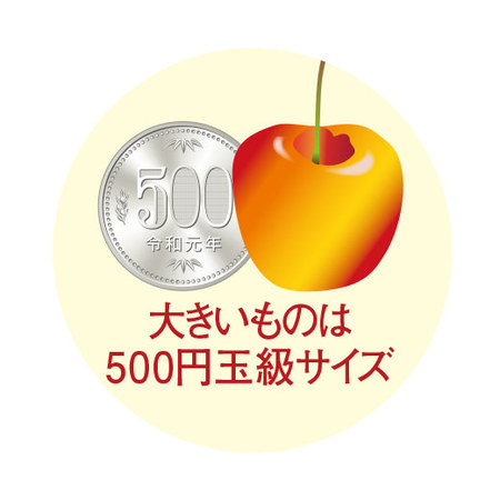 ≪お中元ギフト≫レイニアチェリー１ＫＧ　６月下旬ー７月中旬お届け