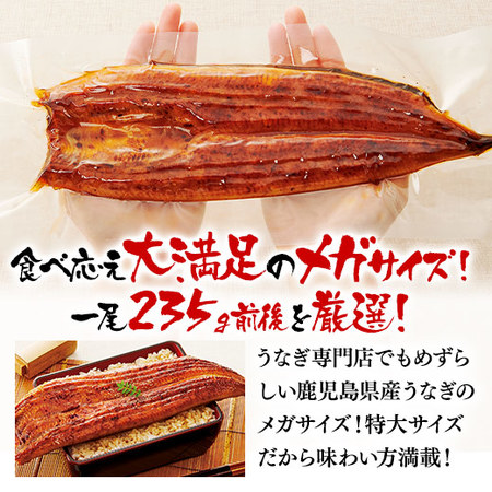 ≪超早割★３００円お得！お中元ギフト≫鹿児島県産うなぎ蒲焼（メガ）２尾