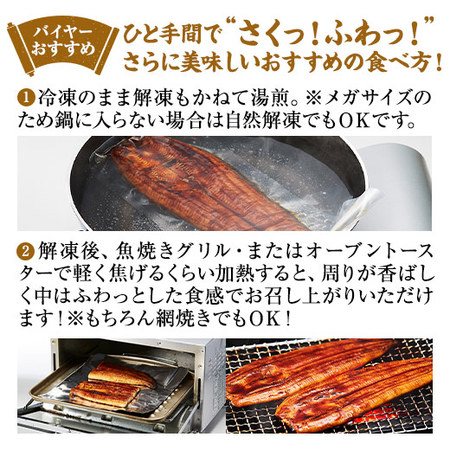 ≪超早割★３００円お得！お中元ギフト≫鹿児島県産うなぎ蒲焼（メガ）２尾