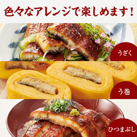 ≪超早割★３００円お得！お中元ギフト≫鹿児島県産うなぎ蒲焼（メガ）２尾