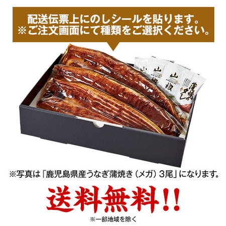 ≪超早割★３００円お得！お中元ギフト≫鹿児島県産うなぎ蒲焼（メガ）２尾