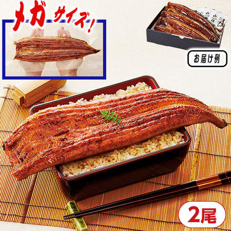 ≪超早割★３００円お得！お中元ギフト≫鹿児島県産うなぎ蒲焼（メガ）２尾