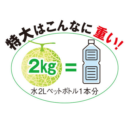 ≪お中元ギフト≫蘭越ようていメロン（特大１玉）２ＫＧ　７月中旬ー９月下旬お届け