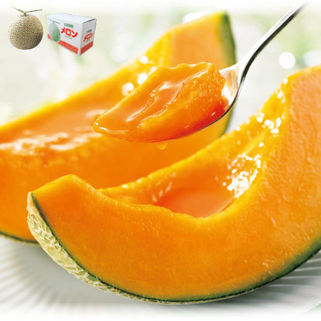 ≪お中元ギフト≫蘭越ようていメロン（特大１玉）２ＫＧ　７月中旬ー９月下旬お届け