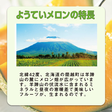 ≪お中元ギフト≫蘭越ようていメロン８ｋｇ　７月中旬より順次