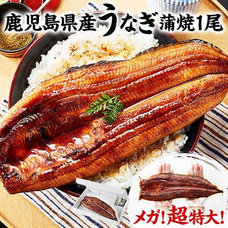 ≪暴走割引中！≫メガ！超特大！鹿児島県産うなぎ蒲焼き１尾　７月２０日―２２日お届け