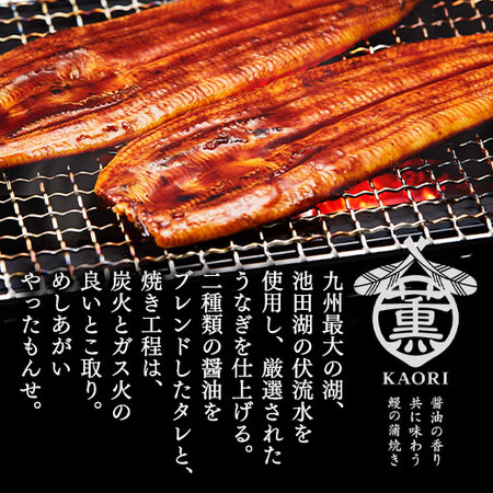≪暴走割引中！≫メガ！超特大！鹿児島県産うなぎ蒲焼き３尾　７月２０日―２２日お届け