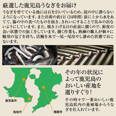 ≪暴走割引中！≫メガ！超特大！鹿児島県産うなぎ蒲焼き３尾　７月２０日―２２日お届け