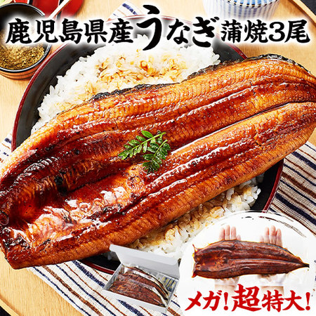 ≪暴走割引中！≫メガ！超特大！鹿児島県産うなぎ蒲焼き３尾　７月２０日―２２日お届け