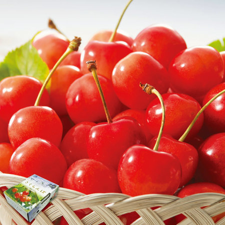 ≪超早割★５４０円引！お中元ギフト≫さくらんぼ職人の佐藤錦（秀品）５００Ｇ　６月上旬ー７月上旬お届け