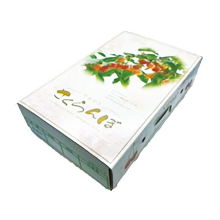 ≪お中元ギフト≫さくらんぼ職人の佐藤錦（秀品）１．２ＫＧ　６月上旬ー７月上旬お届け