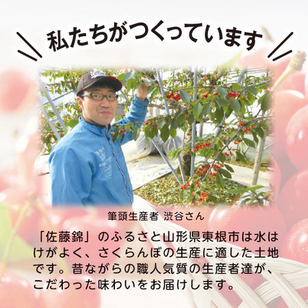 ≪お中元ギフト≫さくらんぼ職人の佐藤錦（秀品）１．２ＫＧ　６月上旬ー７月上旬お届け