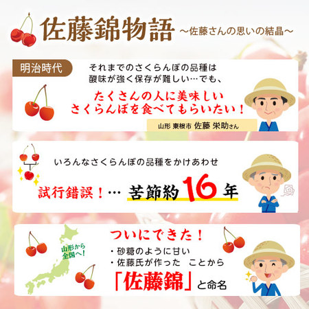 ≪お中元ギフト≫さくらんぼ職人の佐藤錦（秀品）１．２ＫＧ　６月上旬ー７月上旬お届け