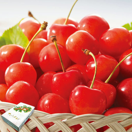 ≪お中元ギフト≫さくらんぼ職人の佐藤錦（秀品）１．２ＫＧ　６月上旬ー７月上旬お届け