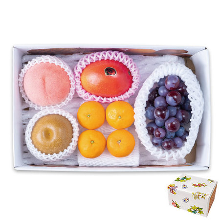 ≪お中元ギフト≫フルーツソムリエが選んだ果物詰合せ（Ｂ）７月上旬―８月上旬お届け