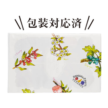 ≪早割★５４０円引き！お中元ギフト≫フルーツソムリエが選んだ果物詰合せ（Ｂ）７月上旬―８月上旬