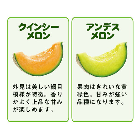 ≪超早割★１，２９６円引！お中元ギフト≫茨城県産　旭村メロン食べ比べ　５月下旬ー６月下旬お届け