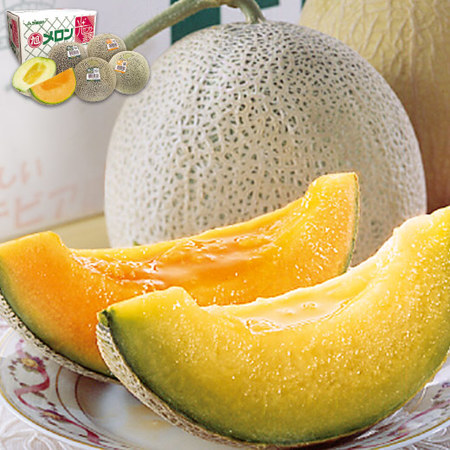 ≪超早割★１，２９６円引！お中元ギフト≫茨城県産　旭村メロン食べ比べ　５月下旬ー６月下旬お届け