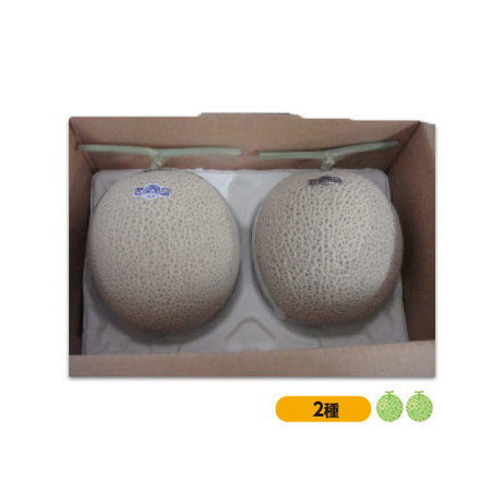 ≪超早割★２１６円引！お中元ギフト≫山形県庄内産　赤肉・青肉砂丘メロン２．５ＫＧ　７月中旬ー８月上旬