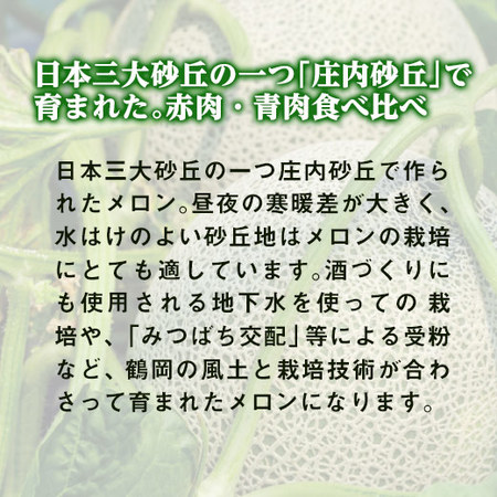 ≪超早割★２１６円引！お中元ギフト≫山形県庄内産　赤肉・青肉砂丘メロン２．５ＫＧ　７月中旬ー８月上旬