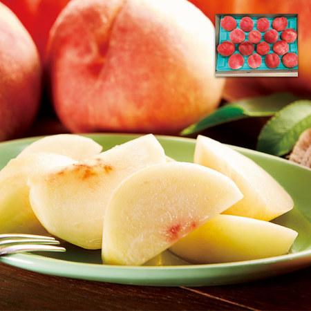 ≪お中元ギフト≫山形県産　川中島白桃　５ＫＧ　８月下旬―９月中旬お届け