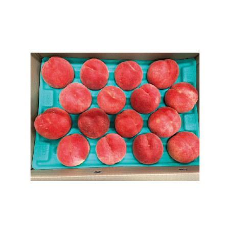 ≪早割★１，０８０円引！お中元ギフト≫山形県産　川中島白桃５ＫＧ　８月下旬―９月中旬