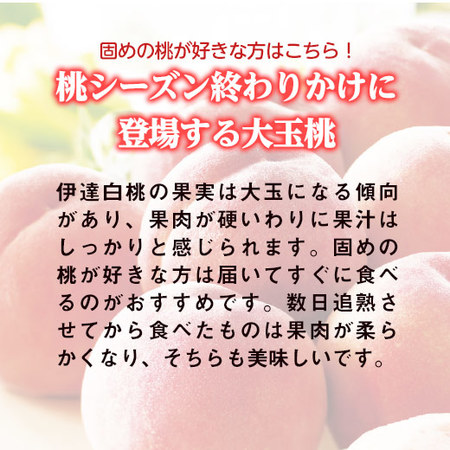 ≪お中元ギフト≫長野県産　伊達白桃　２．５ＫＧ　８月下旬ー９月下旬お届け