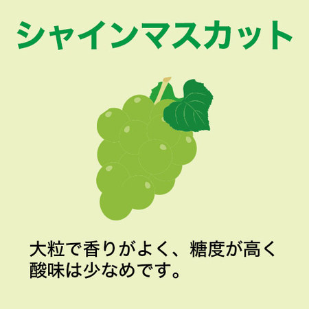 ≪お中元ギフト≫山梨県産シャインマスカット＆愛知県産アールスメロン７月上旬―７月下旬お届け