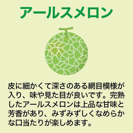 ≪お中元ギフト≫山梨県産シャインマスカット＆愛知県産アールスメロン７月上旬―７月下旬お届け
