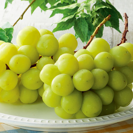 ≪早割★４３２円引！お中元ギフト≫長野県産　シャインマスカット１Ｋ　９月下旬ー１０月下旬お届け