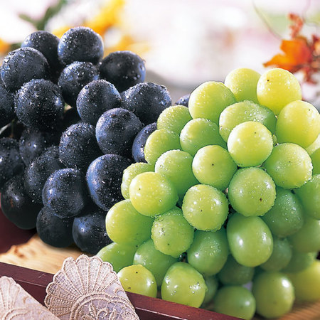 ≪早割★７５６円引お中元ギフト≫長野県産２色のぶどう詰め合わせ１．８ＫＧ　９月下旬ー１０月下旬