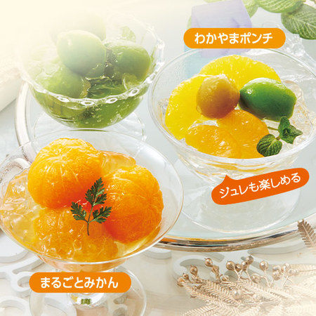 ≪お中元ギフト≫ふみこ農園　和歌山県産果物のコンポートセット