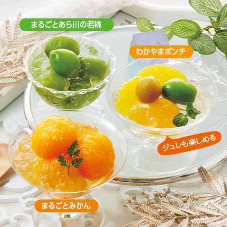 ≪早割★５４０円引き！お中元ギフト≫ふみこ農園　和歌山産果物コンポートセット若桃入り