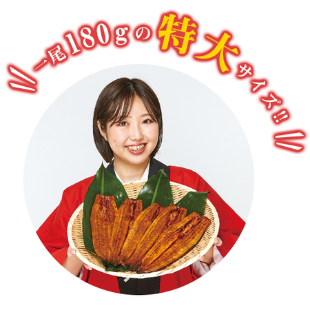 ≪お中元ギフト≫大型！！愛知県三河産うなぎ蒲焼５尾