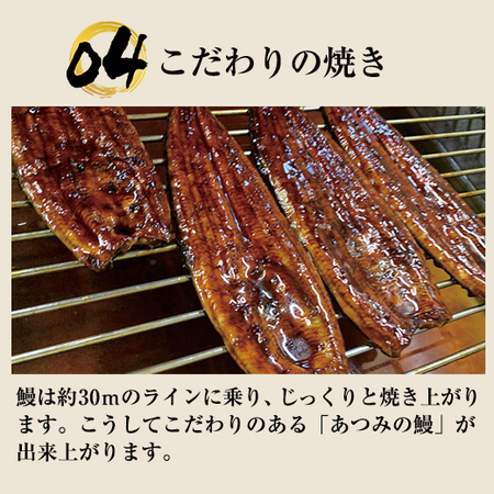 ≪お中元ギフト≫大型！！愛知県三河産うなぎ蒲焼５尾
