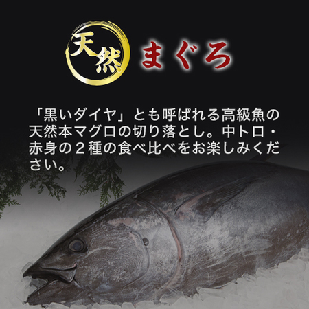 ≪お中元ギフト≫築地ホクエイ　まぐろ屋の天然本まぐろ切落し
