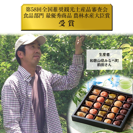 ≪早割★２１６円引き！お中元ギフト≫紀州南高梅　夢葵　彩の舞　１６粒